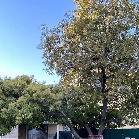 Centre 42m2 Calme Sur Jardin Appartamento *